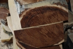Αποχρώσεις του ξύλου της μουριάς