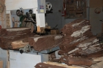 Αποχρώσεις του ξύλου της μαύρης μουρνιάς (άνω των 500 ετών)