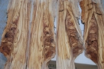 Αποχρώσεις του ξύλου της ελιάς 
